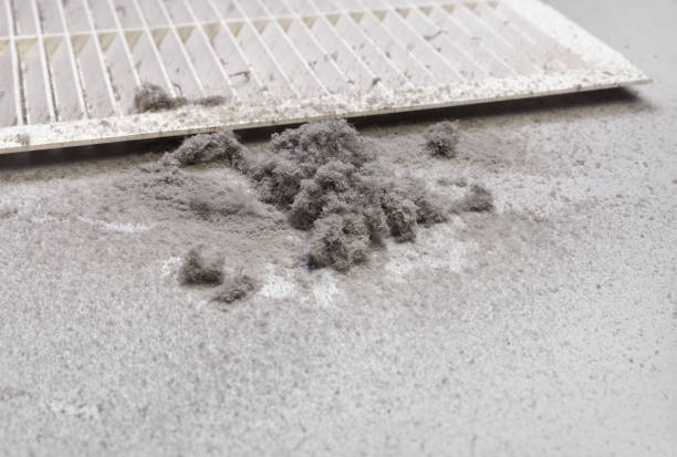 Best Air Duct Cleaning Company Near Me  in Morris, IL