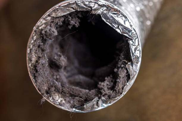 Best Local Air Duct Cleaning Services  in Morris, IL