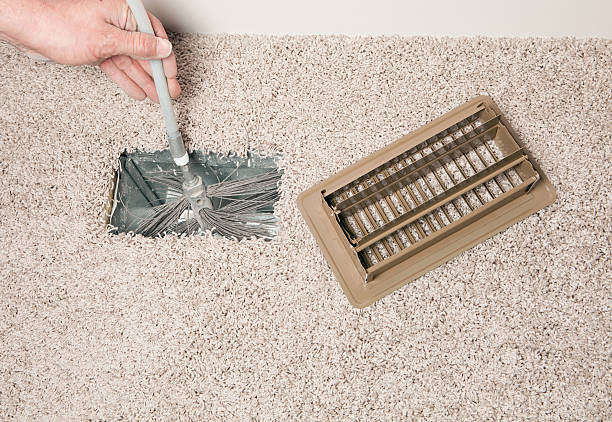 Best Air Duct Mold Removal  in Morris, IL