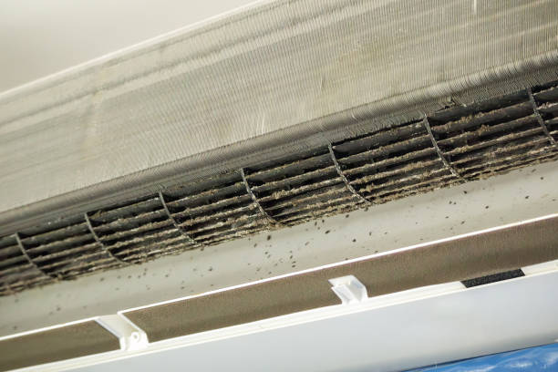 Best HVAC Maintenance and Cleaning  in Morris, IL