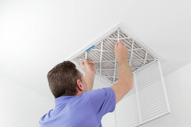 Best Air Duct Sanitizing Services  in Morris, IL